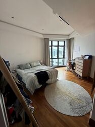 Valley Park (D10), Condominium #619286711